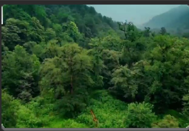 مازندران، ایران کے خزر کے ساحل کے کنارے جنت جیسا صوبہ، آپ کے لیے تیار ہے